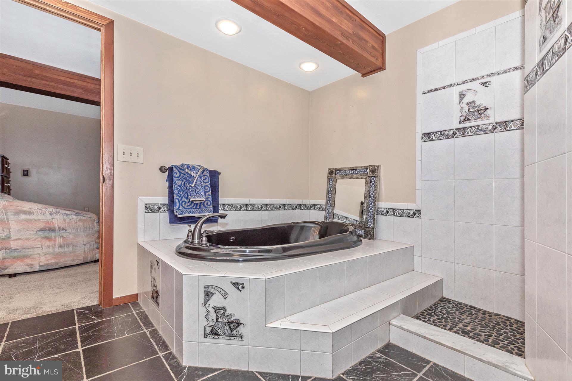 914 Trevanion Road Union Bridge, MD 21791 - Photo 37 of 54 Main level master bathroom jetted tub.