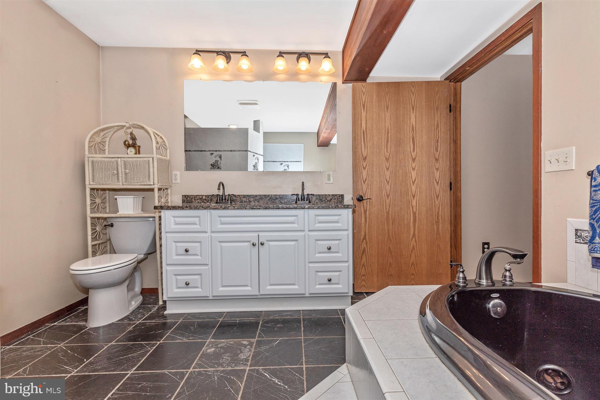 914 Trevanion Road Union Bridge, MD 21791 - Photo 38 of 54 Main level master bathroom is a spa retreat!