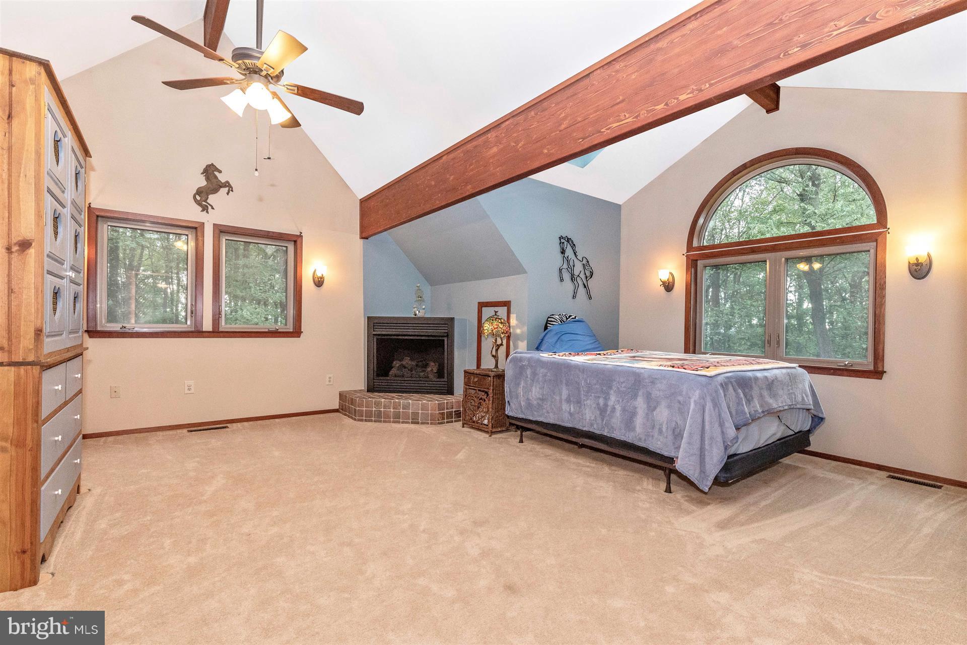 914 Trevanion Road Union Bridge, MD 21791 - Photo 41 of 54 Upper level 2nd master bedroom with gas fireplace.