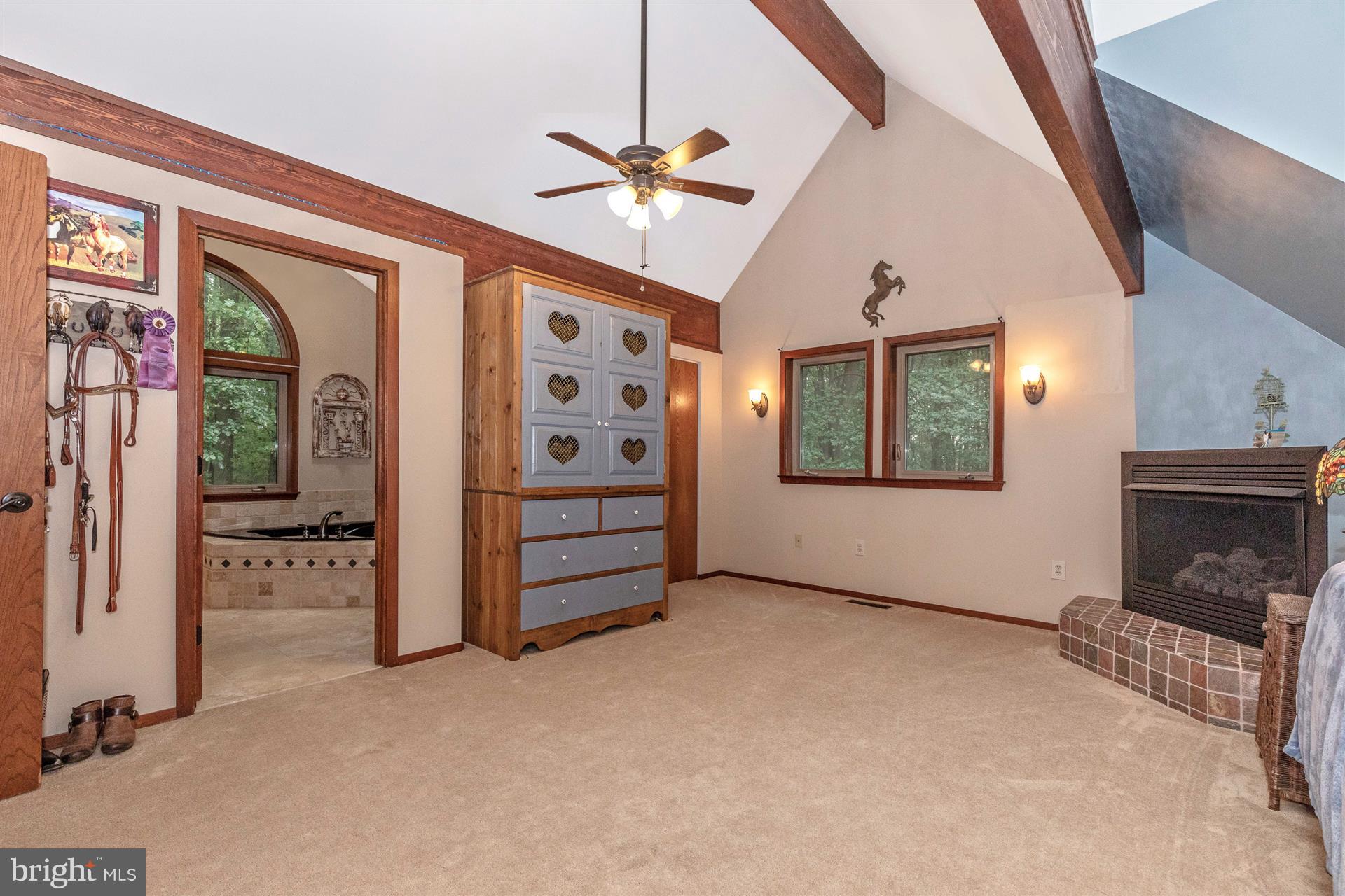 914 Trevanion Road Union Bridge, MD 21791 - Photo 42 of 54 Upper level 2nd master bedroom with walk in closet
