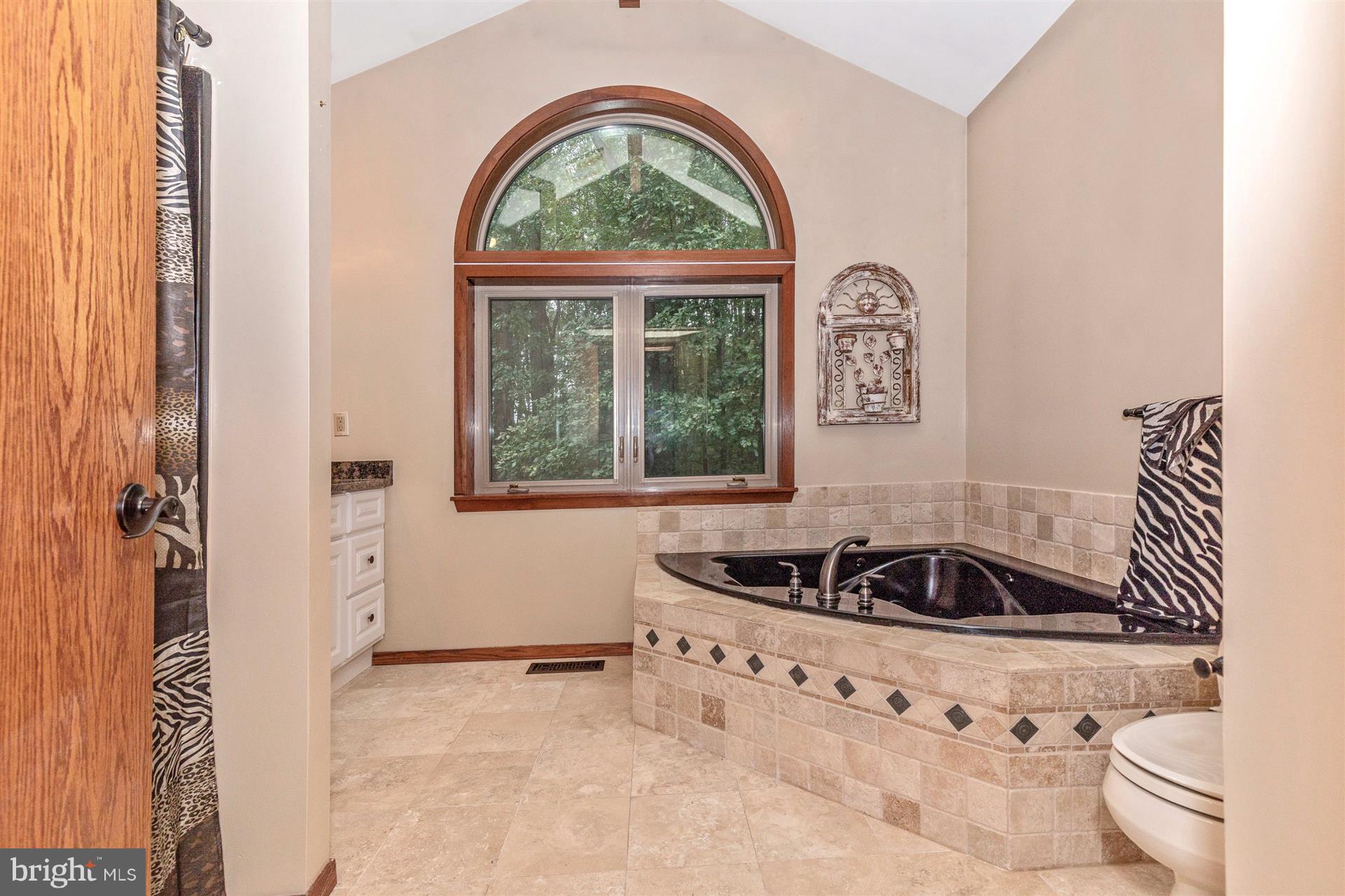 914 Trevanion Road Union Bridge, MD 21791 - Photo 43 of 54 Upper level 2nd master bathroom with jetted tub.