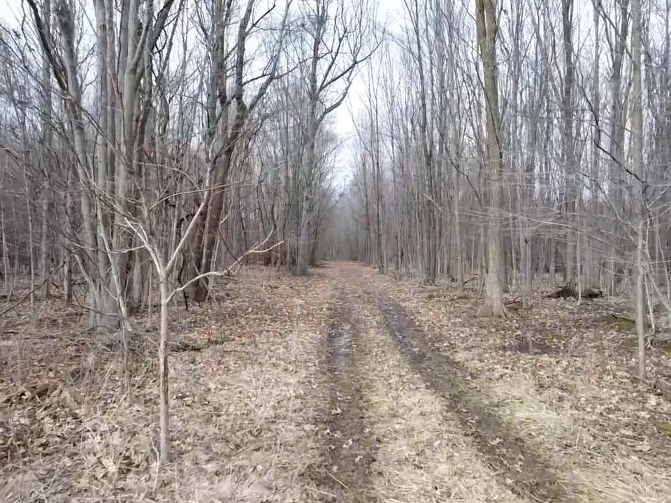 East Dodge Road Clio, MI 48420 - Photo 22 of 39 22