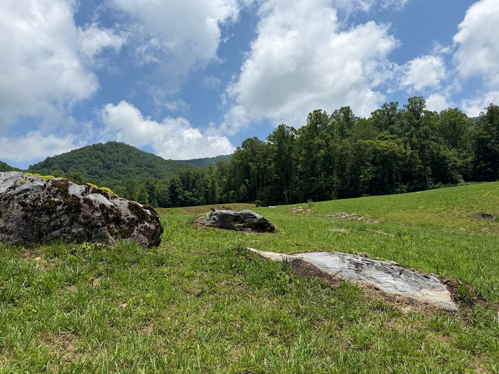 1446 Muskrat Creek Road Hayesville, NC 28904 - Photo 98 of 108