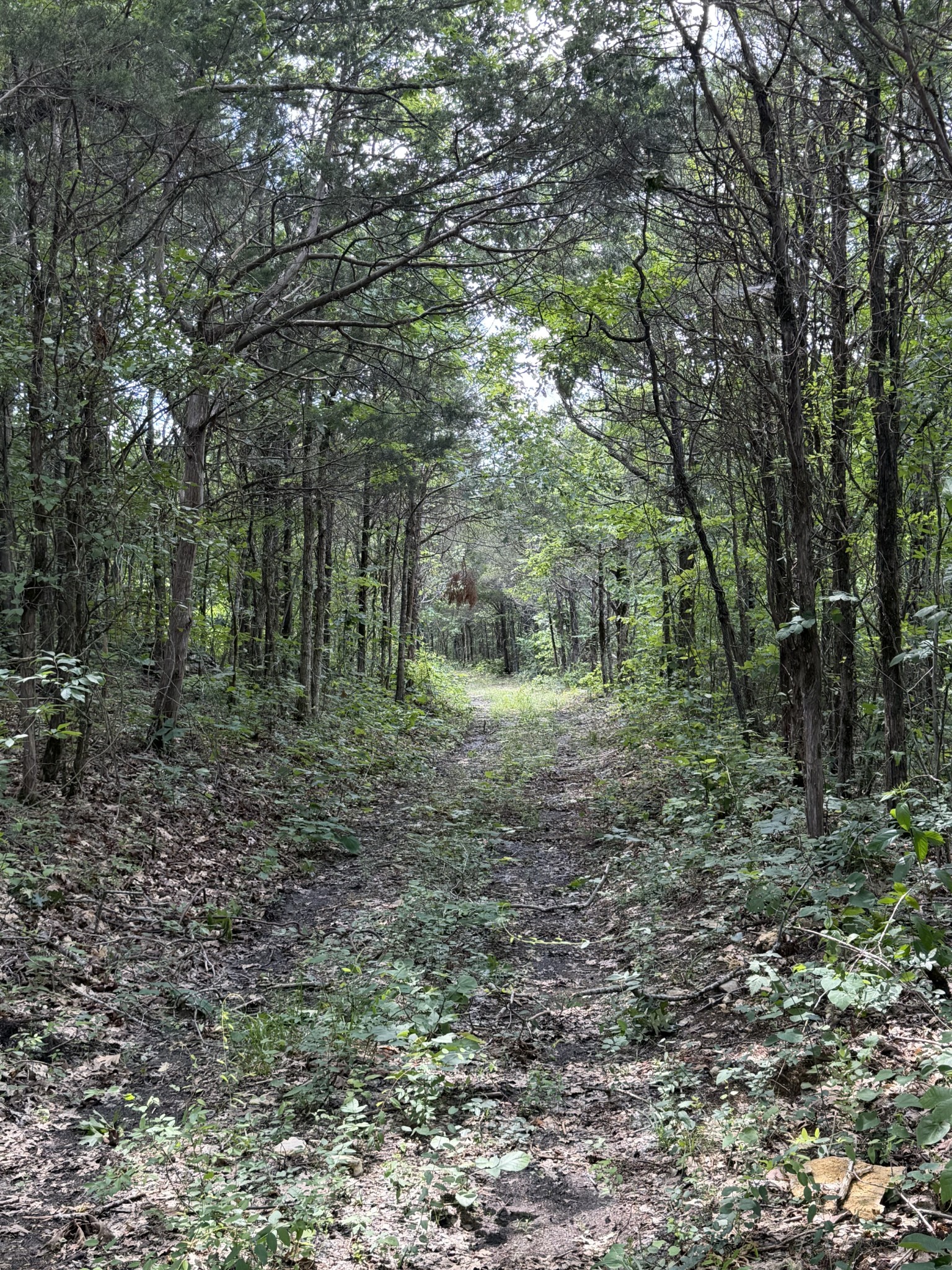 4492 Murray-Kittrell Road Readyville, TN 37149 - Photo 14 of 27
