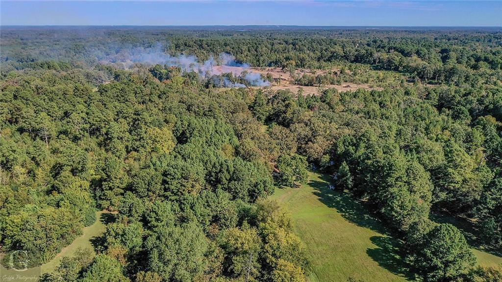 7040 Greenwood Road Shreveport, LA 71119 - Photo 14 of 18 a view of a lush green forest with trees and houses