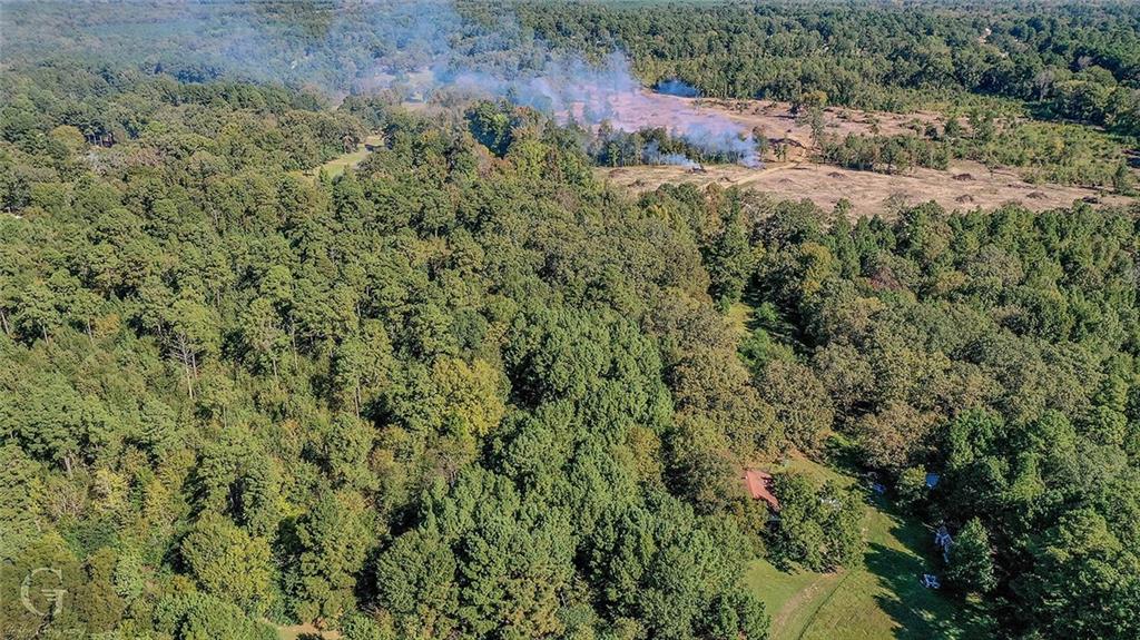 7040 Greenwood Road Shreveport, LA 71119 - Photo 16 of 18 an aerial view of residential house with space and trees all around