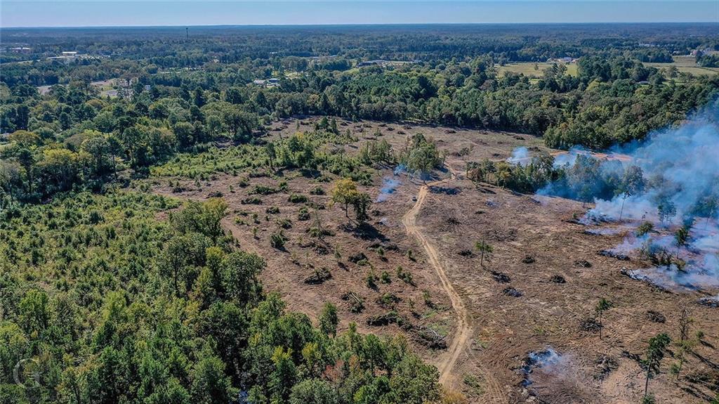 7040 Greenwood Road Shreveport, LA 71119 - Photo 6 of 18 an aerial view of forest
