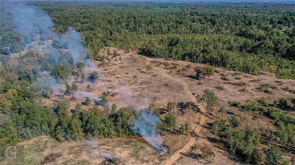 7040 Greenwood Road Shreveport, LA 71119 - Photo 10 of 18 a view of a forest with a forest