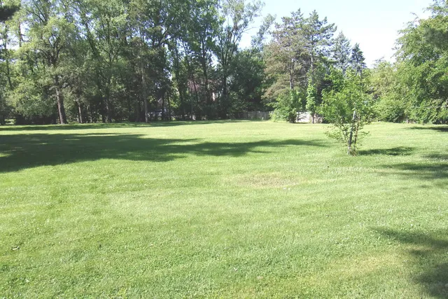 a view of outdoor space with trees all around
