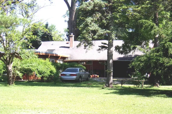 a small garden covered with tall trees
