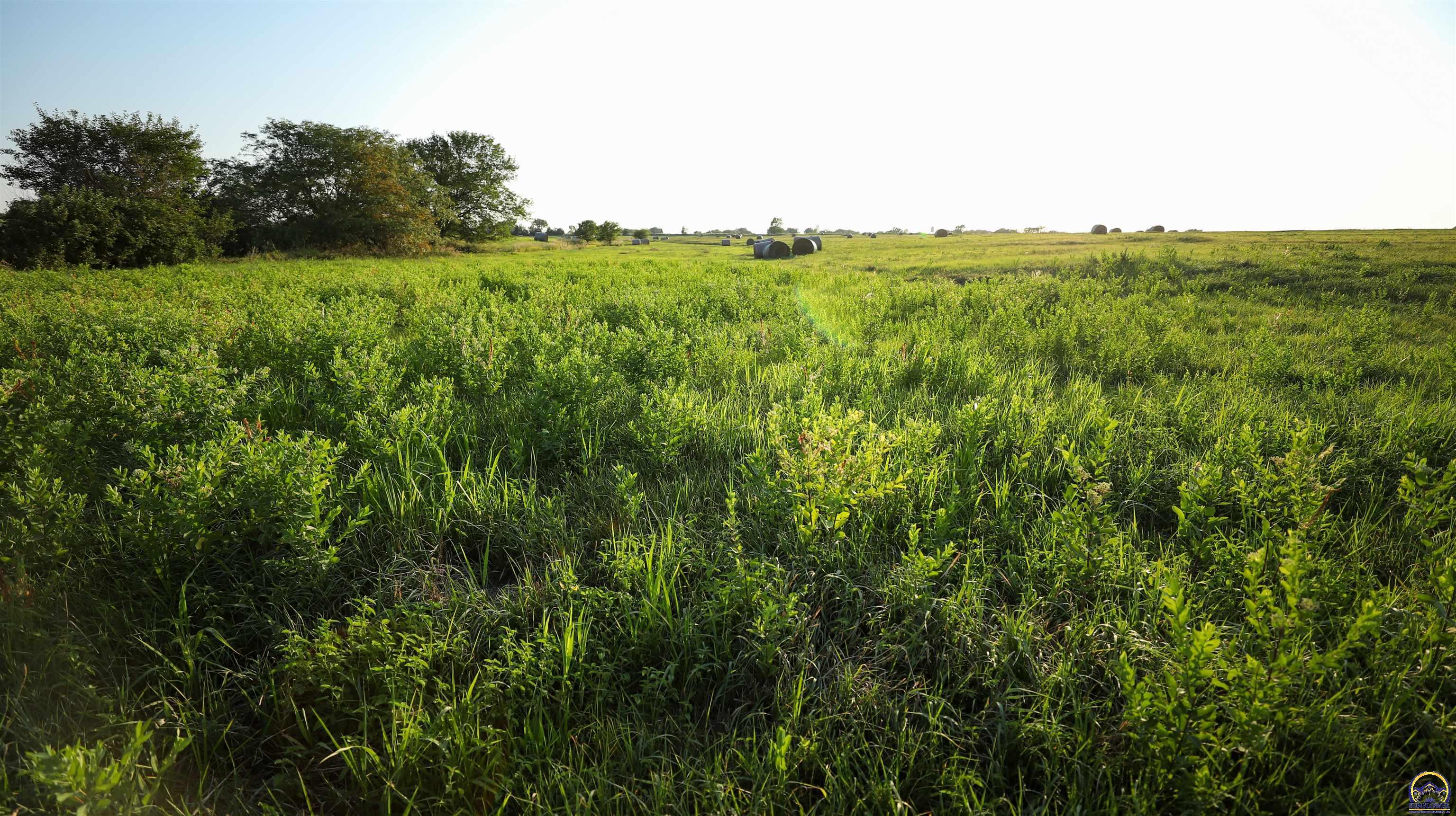 0 Cable City Road Alta Vista, KS 66834 - Photo 49 of 75 Gallery Image 49