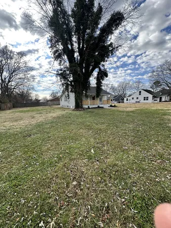 a view of a field with an trees