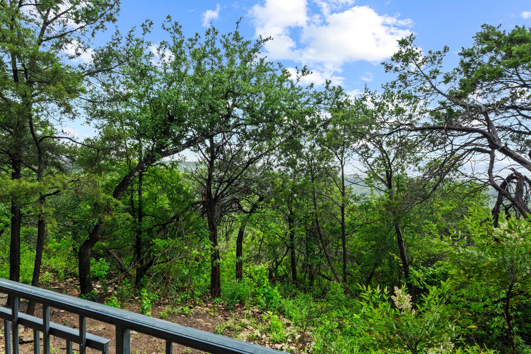 4711 Spicewood Springs Road, Unit 8146 Austin, TX 78759 - Photo 3 of 17 Lush natural landscaping featuring a dense tree canopy and vibrant undergrowth