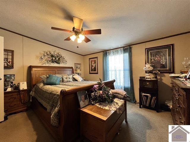 820 3rd Street Hazel, KY 42049 - Photo 12 of 27 Primary Bedroom