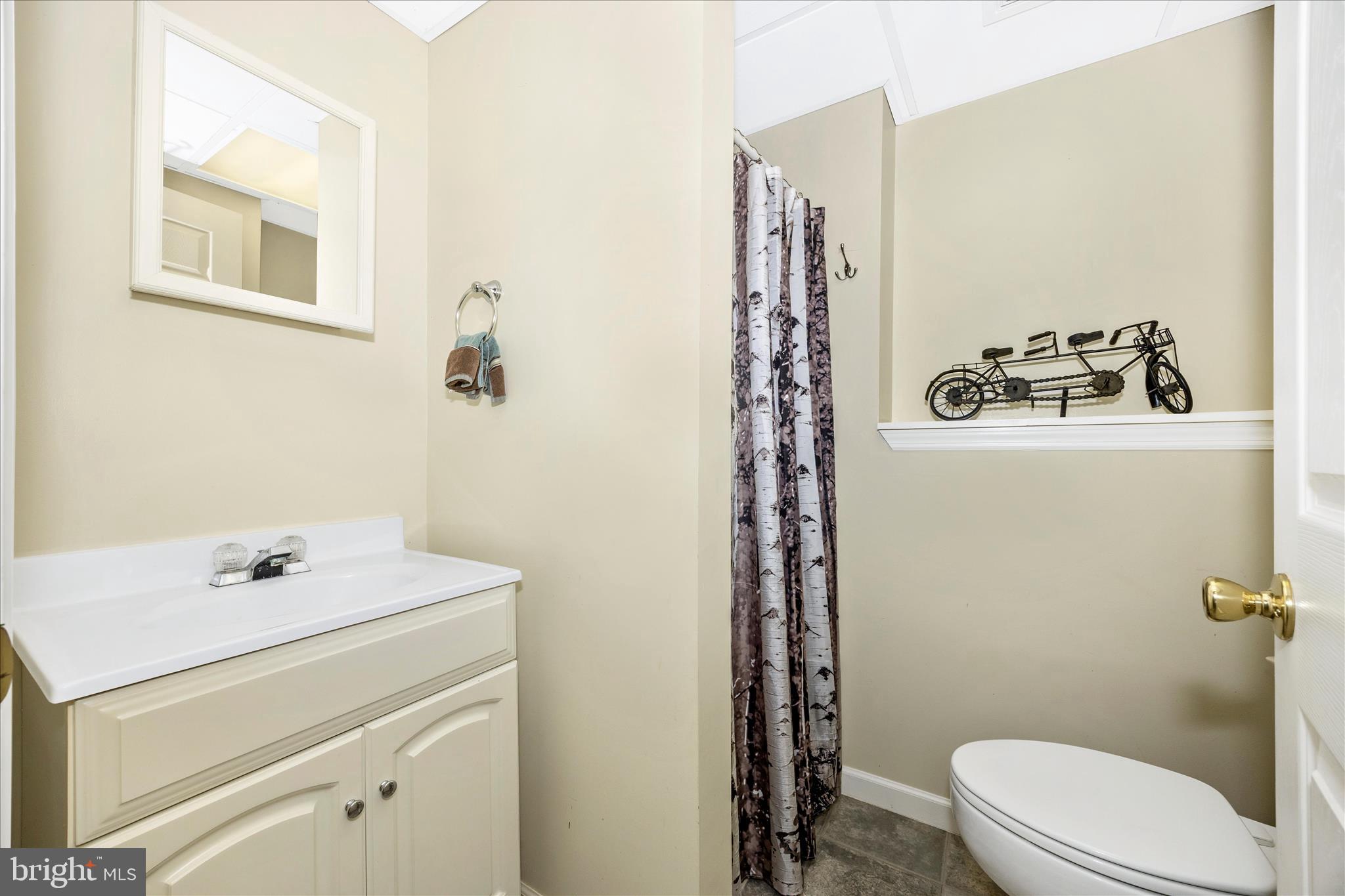 6611 Haydown Court Frederick, MD 21703 - Photo 22 of 33 Lower Bath