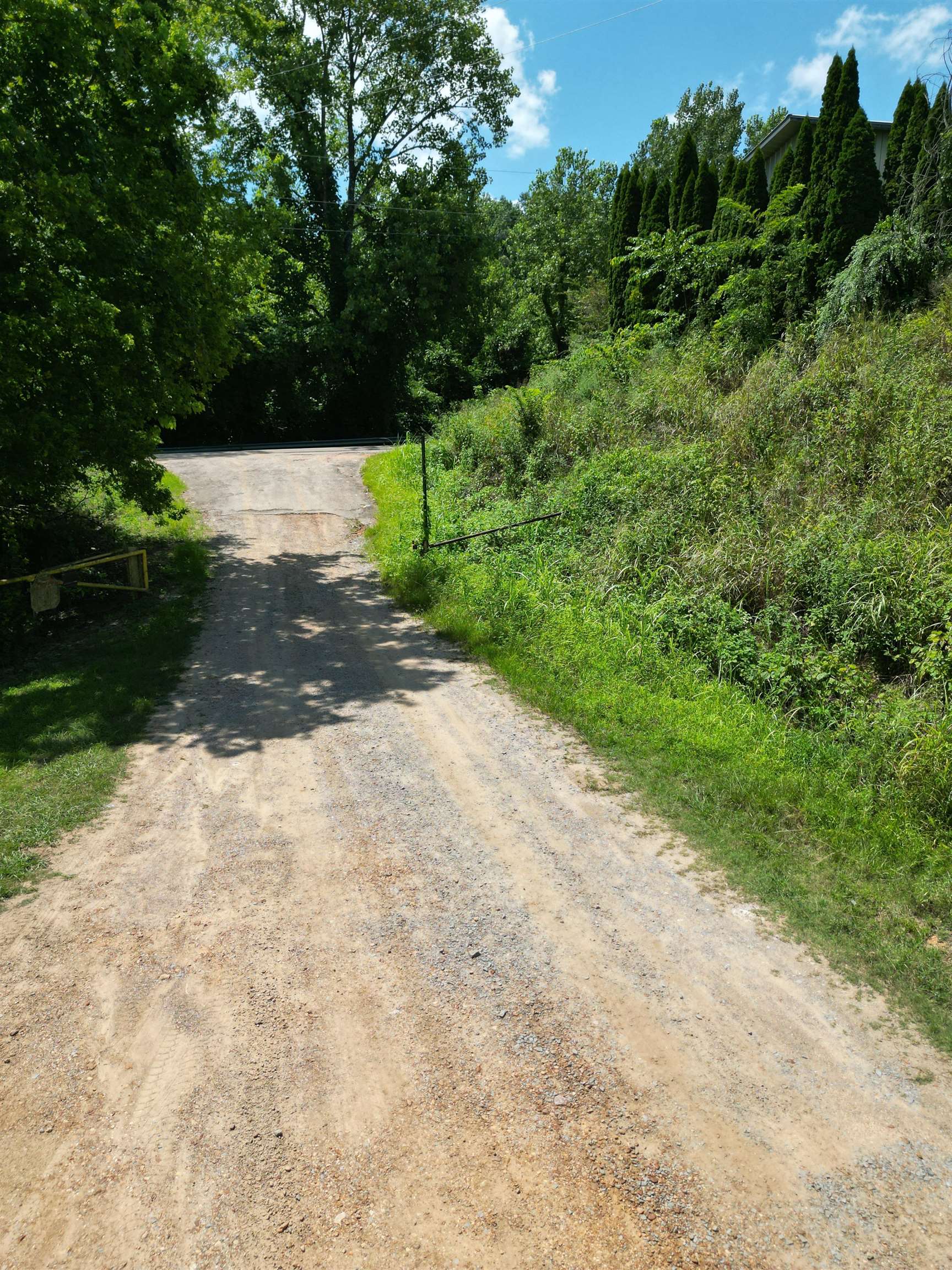 6 Coffee Landing Road Adamsville, TN 38310 - Photo 13 of 14 View of dirt / gravel road featuring a view of trees