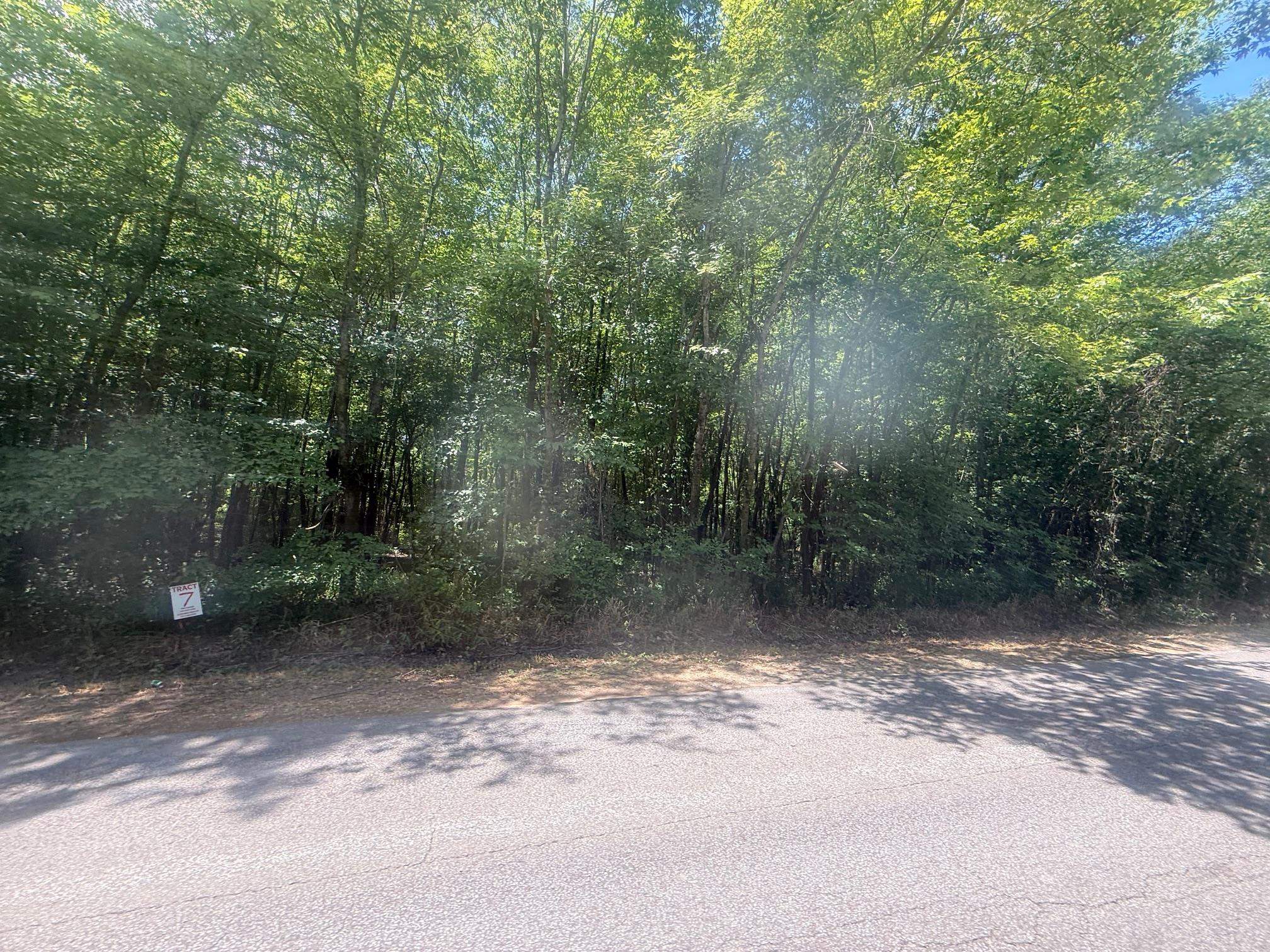 6 Coffee Landing Road Adamsville, TN 38310 - Photo 2 of 14 View of yard featuring a forest view