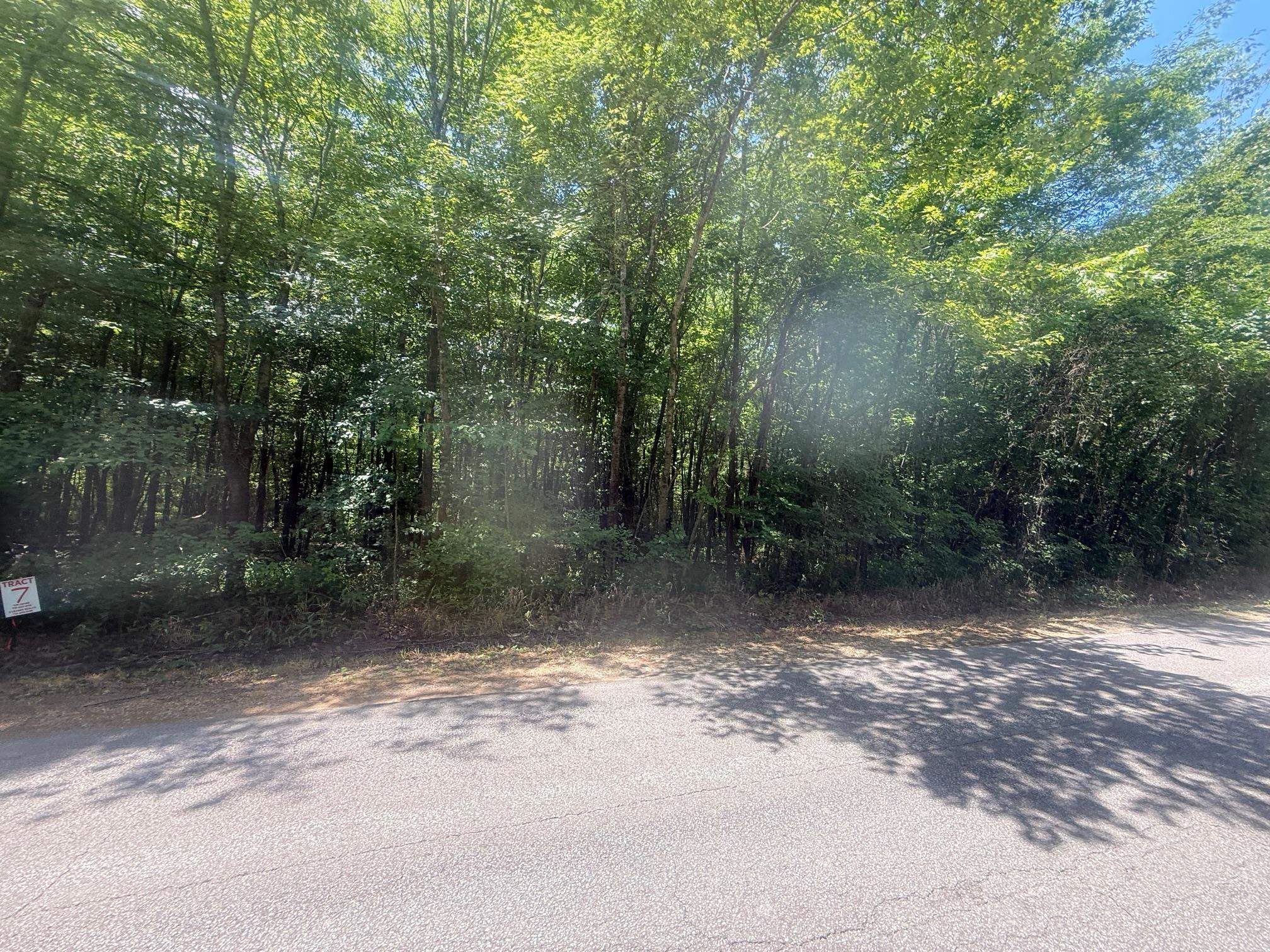 6 Coffee Landing Road Adamsville, TN 38310 - Photo 3 of 14 View of yard featuring a wooded view
