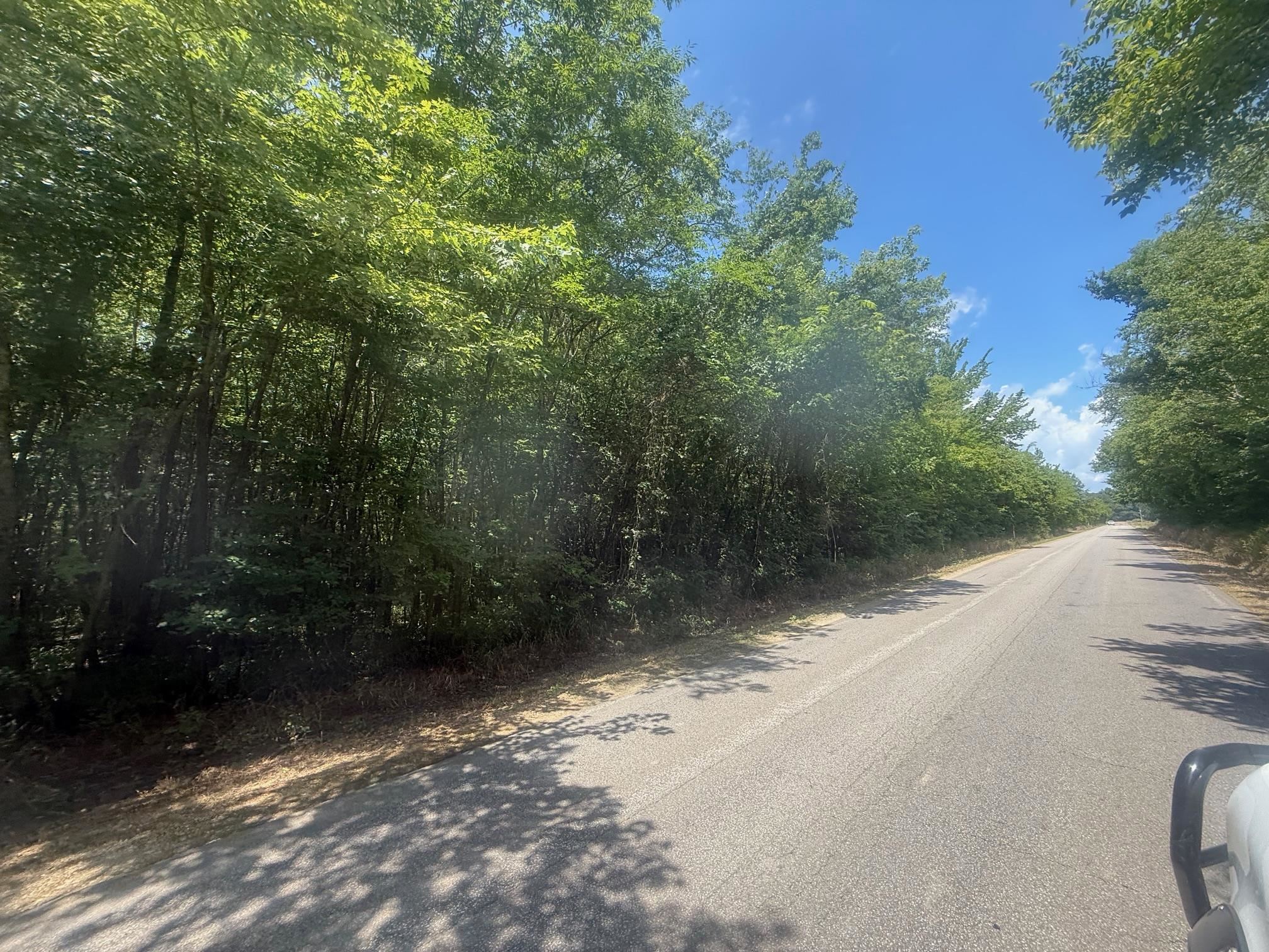 6 Coffee Landing Road Adamsville, TN 38310 - Photo 4 of 14 View of asphalt street