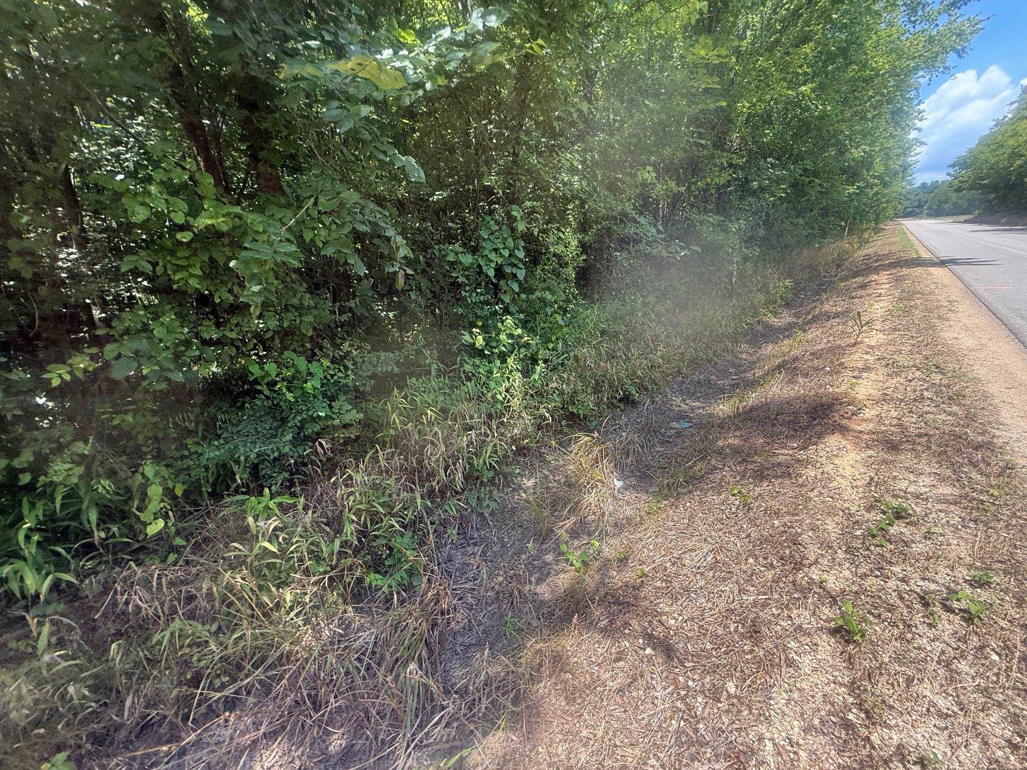 6 Coffee Landing Road Adamsville, TN 38310 - Photo 8 of 14 View of asphalt road