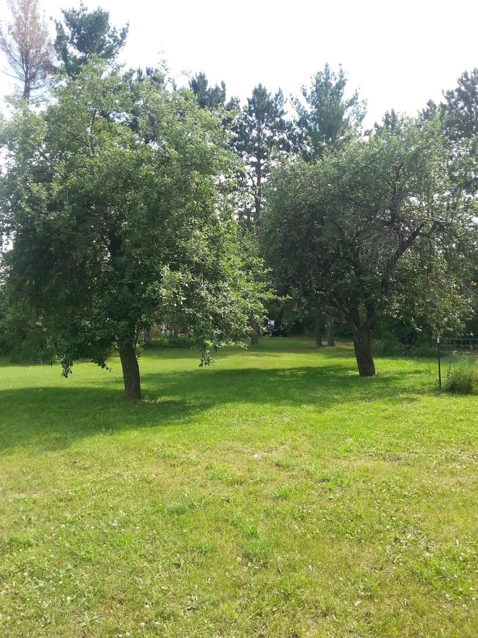 4559 McCoy Road Gaylord, MI 49735 - Photo 60 of 99 1896873-59.JPG