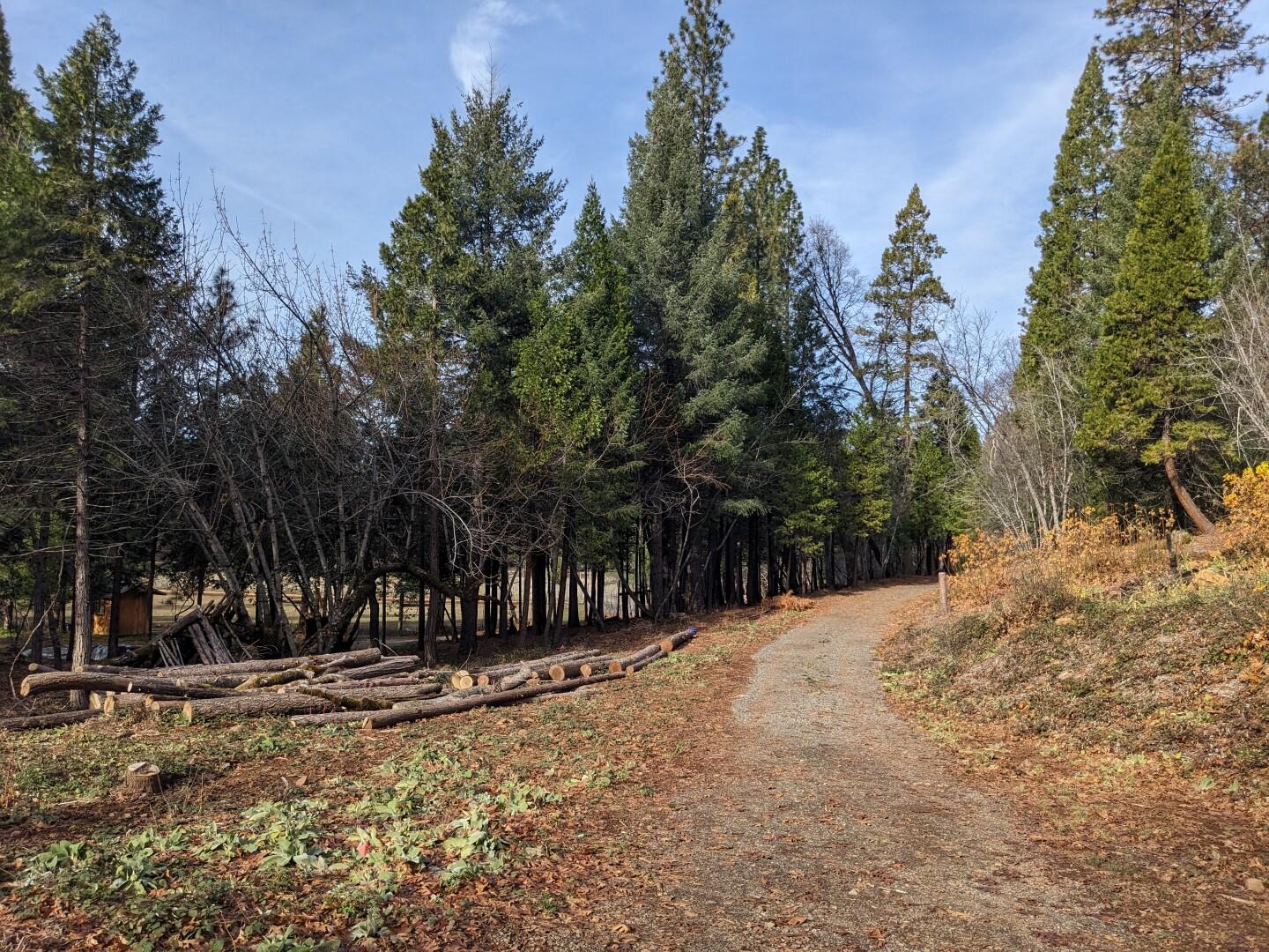 29276 Bullskin Ridge Road Oak Run, CA 96069 - Photo 79 of 113 BULLSKIN RIDGE RANCH