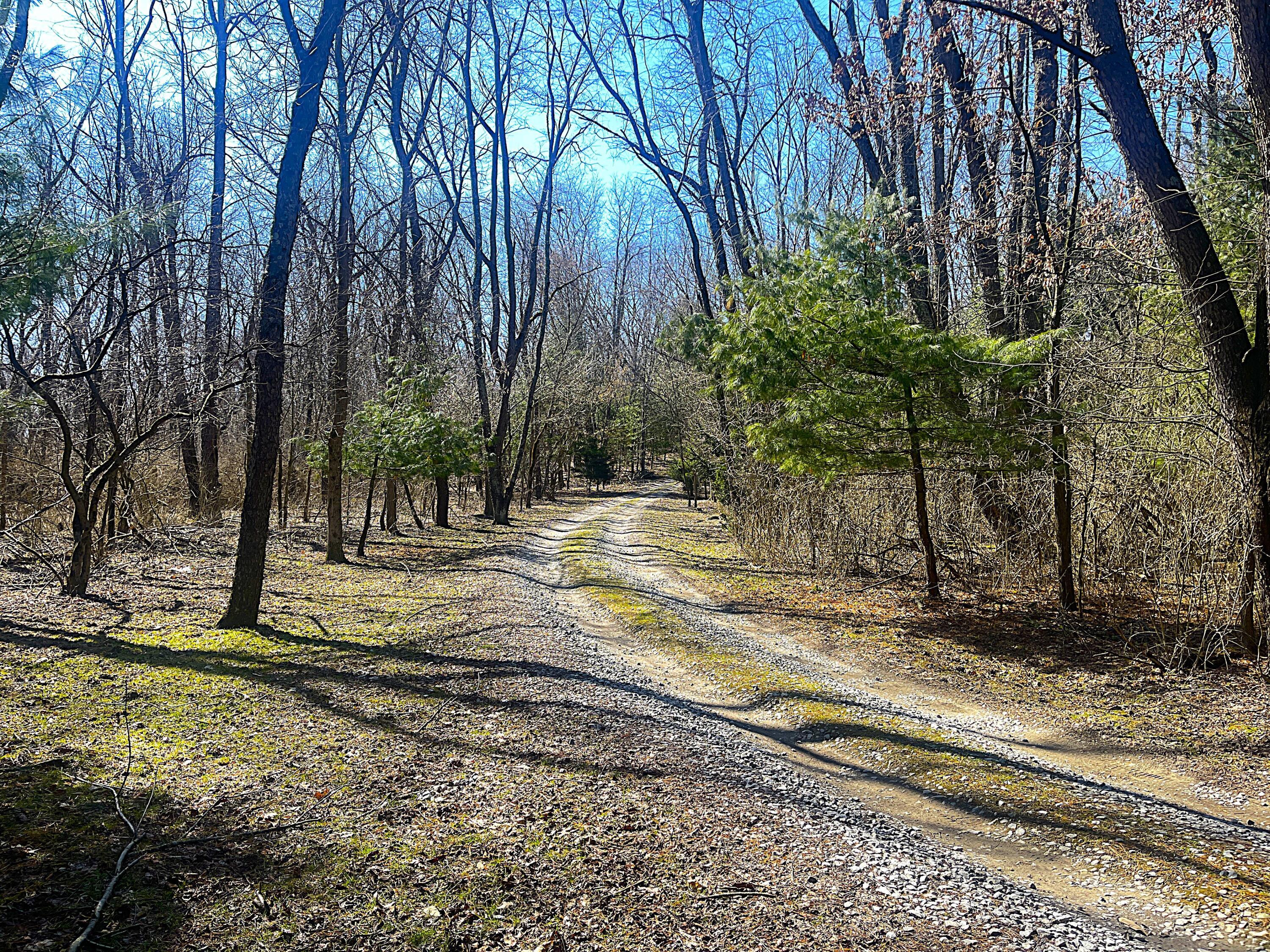 21618 Schenck Creek Road Howard, OH 43028 - Photo 40 of 64 40