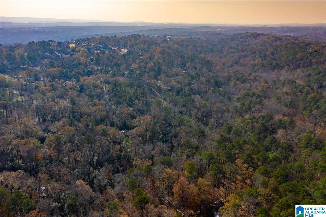 2648 Altadena Road, Unit 2648 Birmingham, AL 35243 - Photo 4 of 12