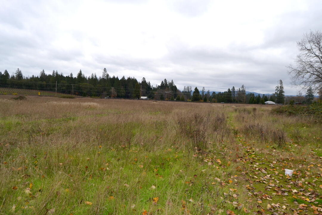 2950 Holland Loop Road Cave Junction, OR 97523 - Photo 7 of 22 DSC_7487