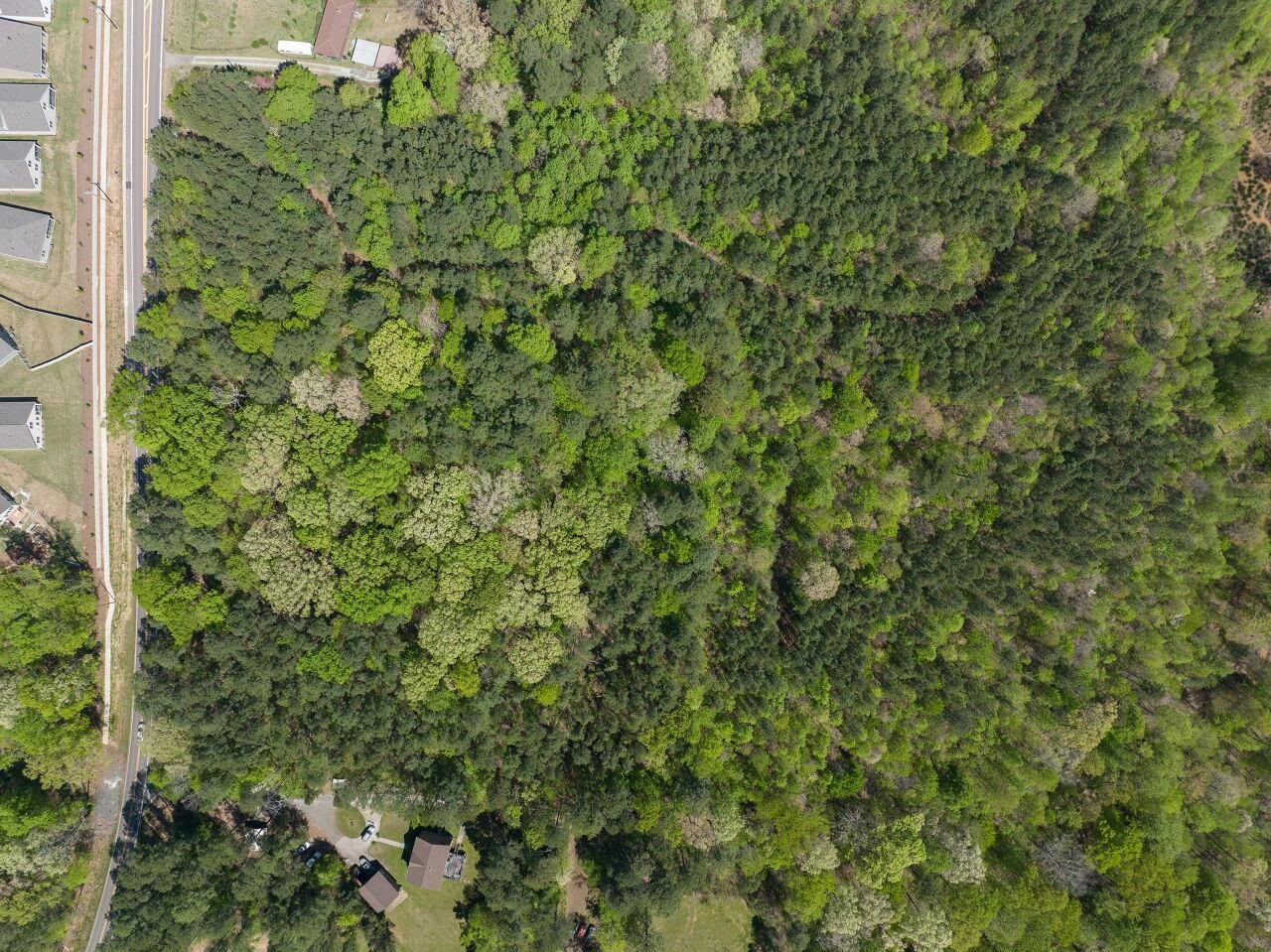 1301 Doc Nichols Road Durham, NC 27703 - Photo 4 of 9