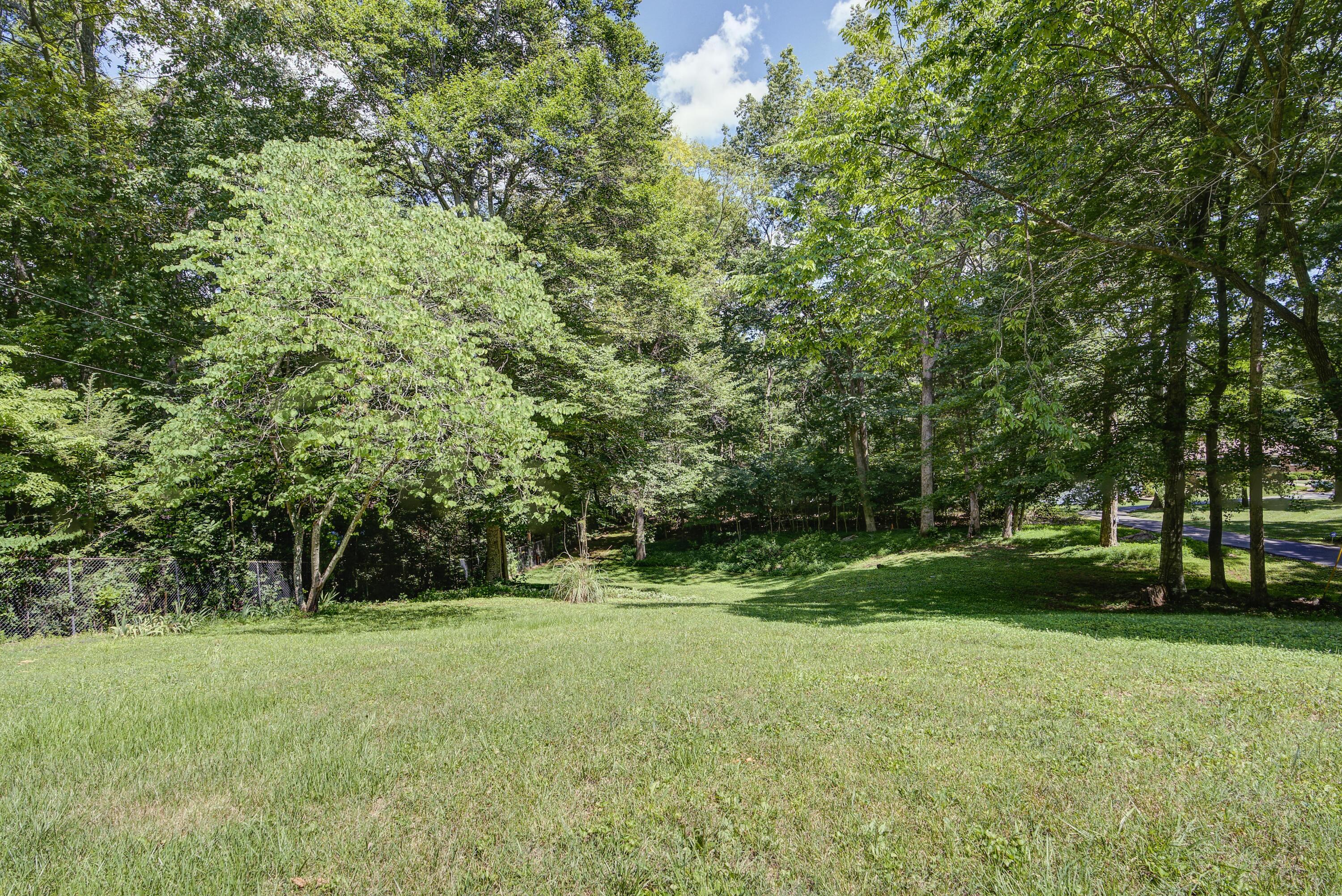 519 Boring Chapel Road Gray, TN 37615 - Photo 28 of 36 BCR--27