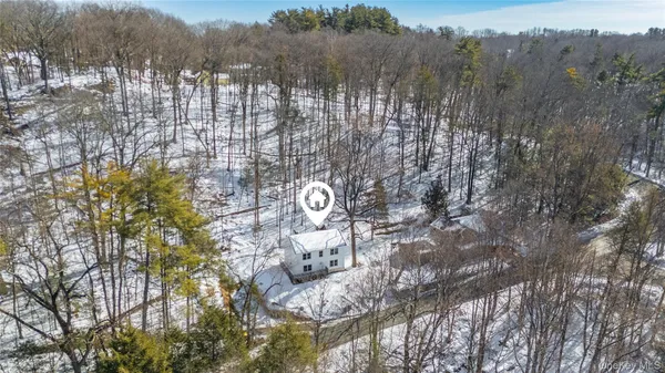 a picture of trees in the background