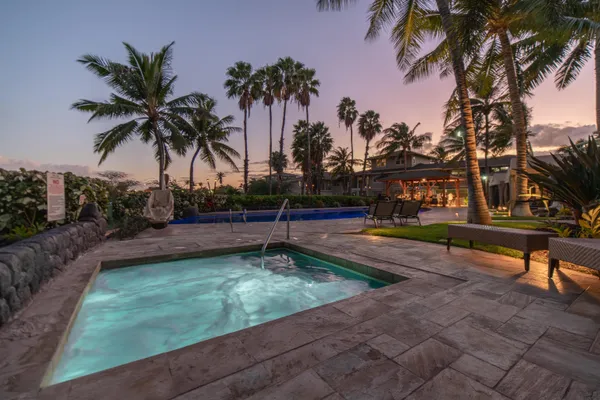 a view of a yard with palm trees
