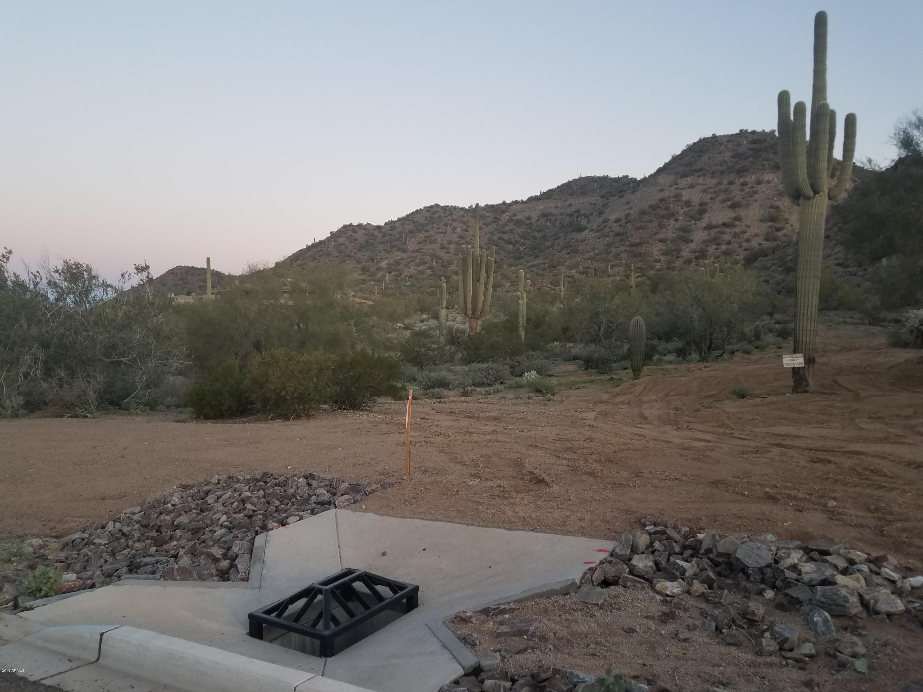 0 East Range Rider Trail Mesa, AZ 85207 - Photo 8 of 32 20190207_071327