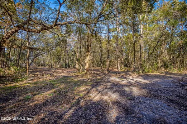 a view of outdoor space with trees