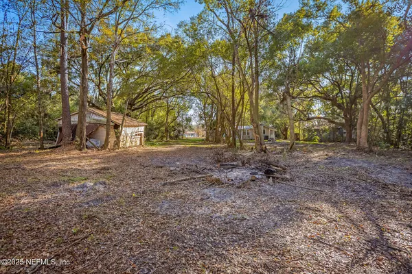 a view of a yard with a tree