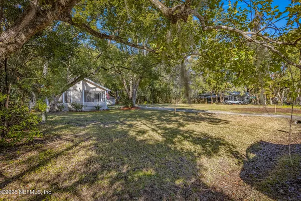 a view of a forest with trees