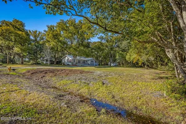 a view of a yard with a trees