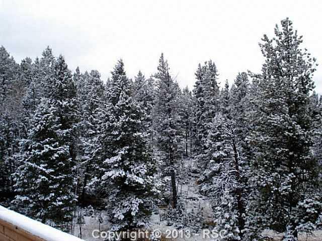 570 Pinewood Road Florissant, CO 80816 - Photo 23 of 24