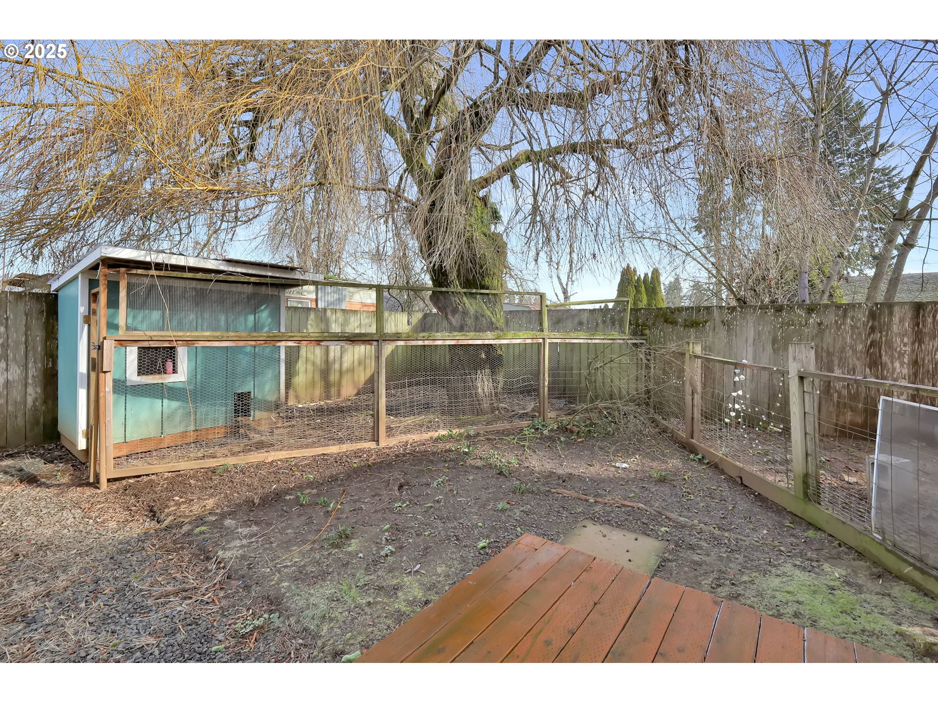 1080 S Street Springfield, OR 97477 - Photo 41 of 42 Garden