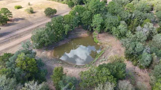 an aerial view of a house with a yard and large trees