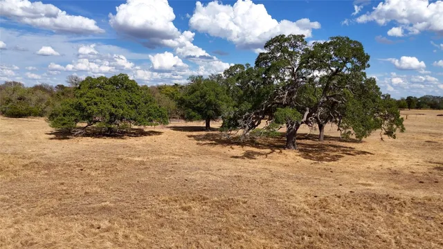 a view of outdoor space with trees all around