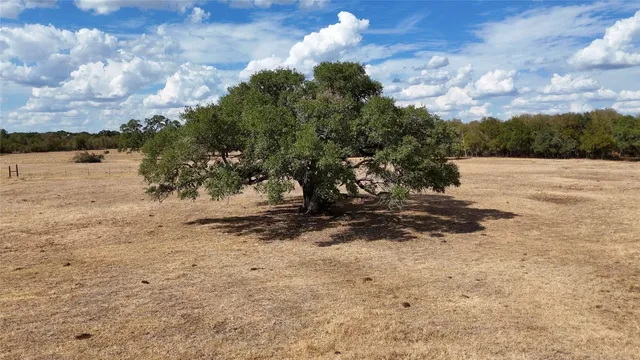 an aerial view of a house with a yard and lake view