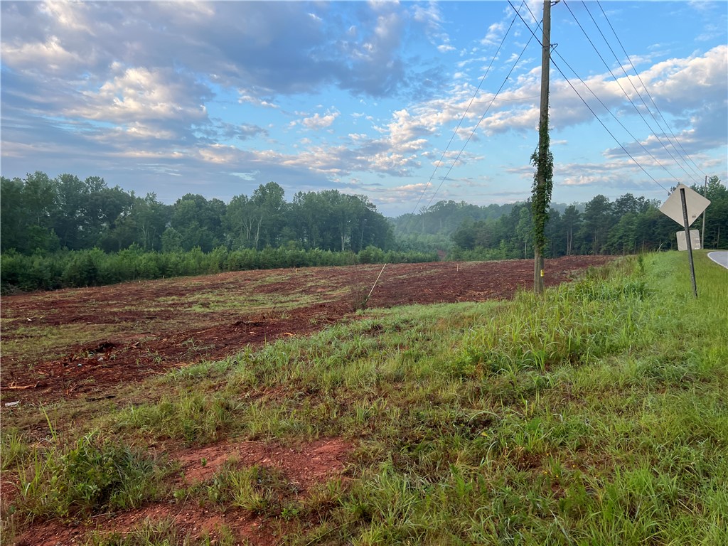 Lot 10 Pickens Drive Pendleton, SC 29670 - Photo 3 of 6