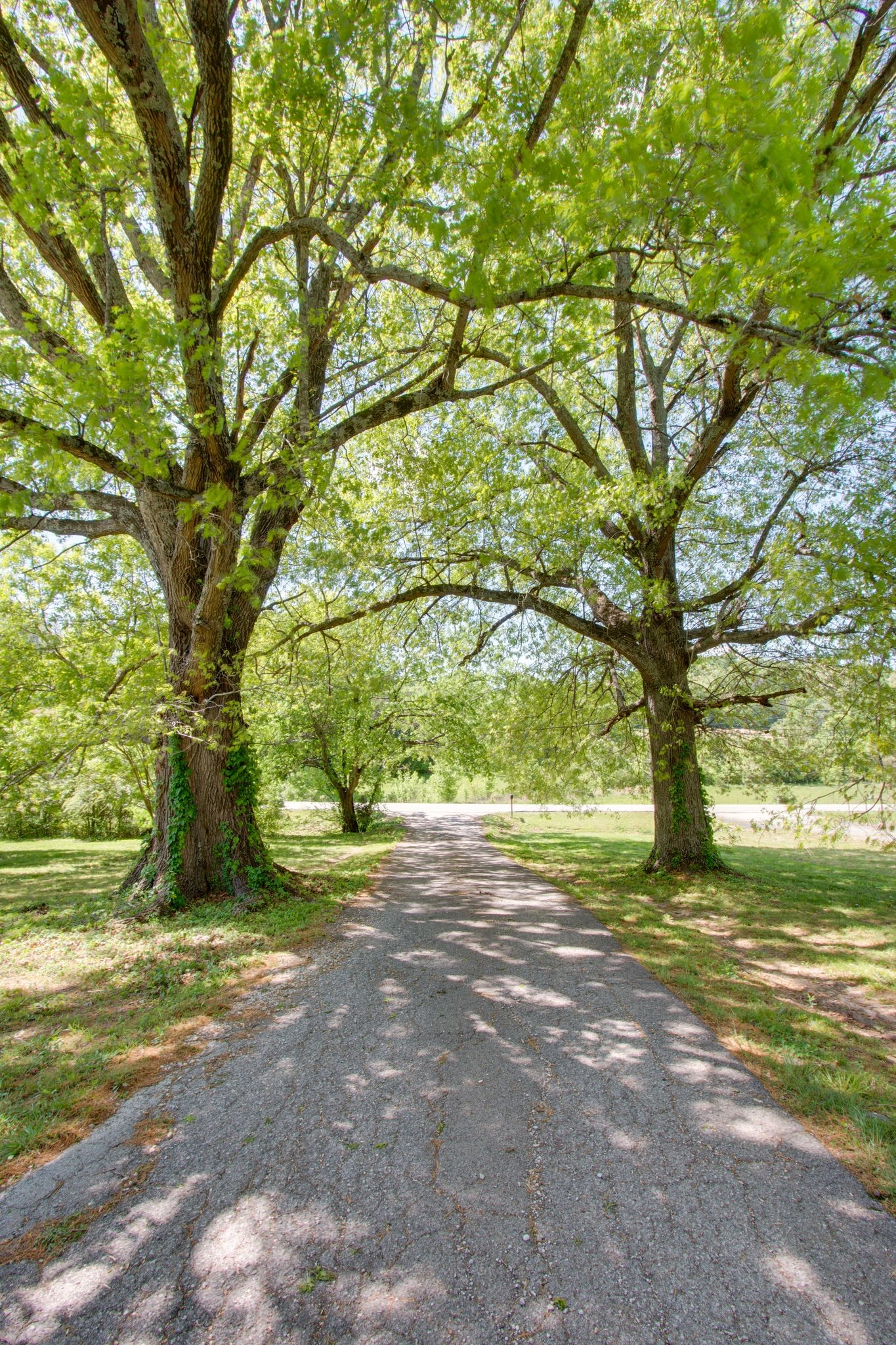 1830 Popes Chapel Road Thompson's Station, TN 37179 - Photo 5 of 58