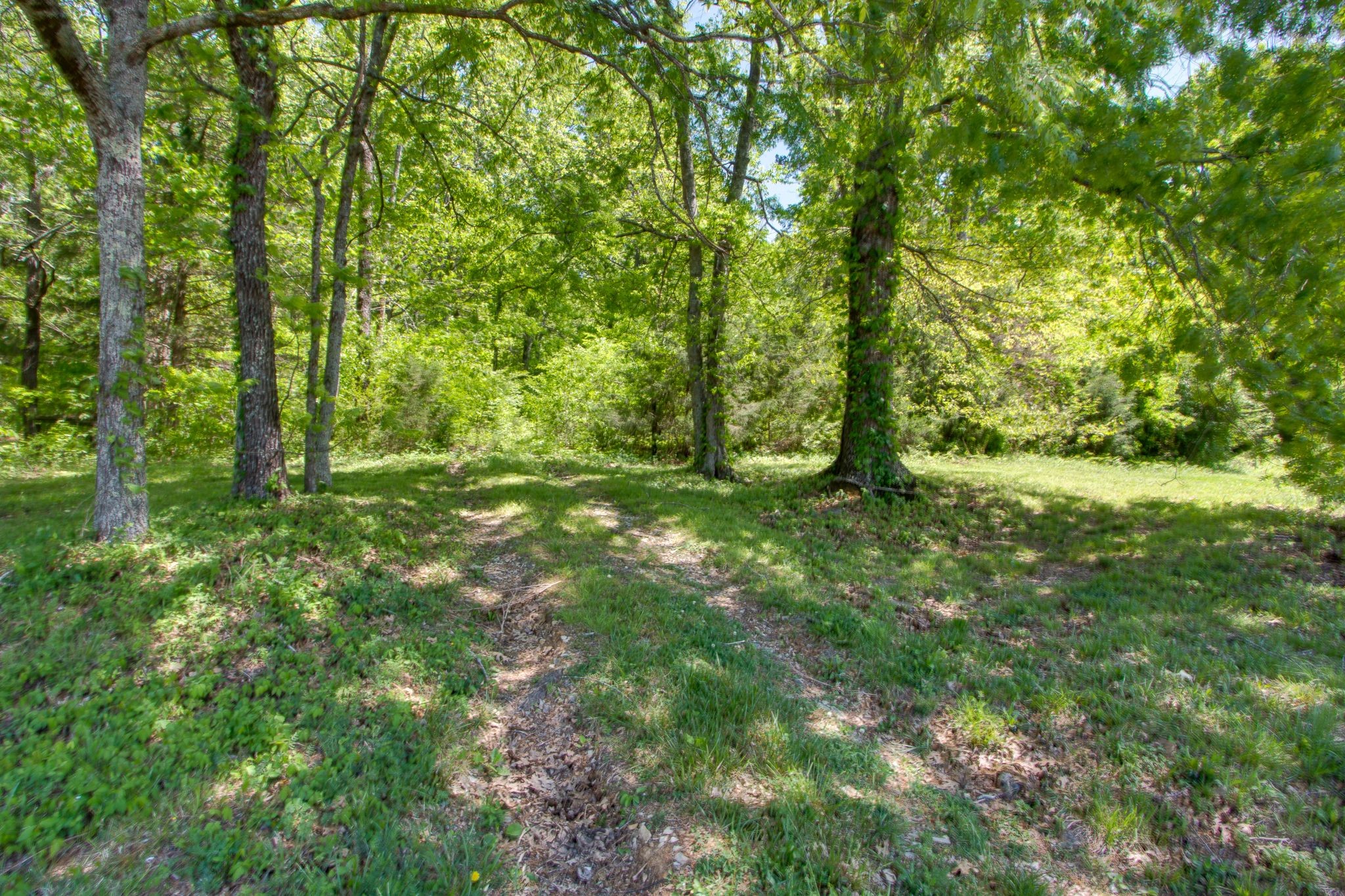 1830 Popes Chapel Road Thompson's Station, TN 37179 - Photo 10 of 58