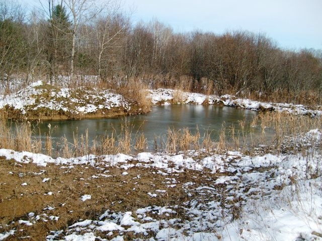 6434 Maple Hill Road Southwest Fife Lake, MI 49633 - Photo 62 of 73 1825651-61.JPG
