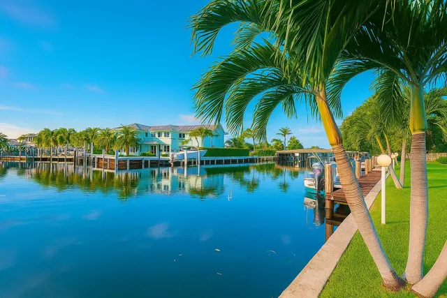 a view of a lake with a palm tree