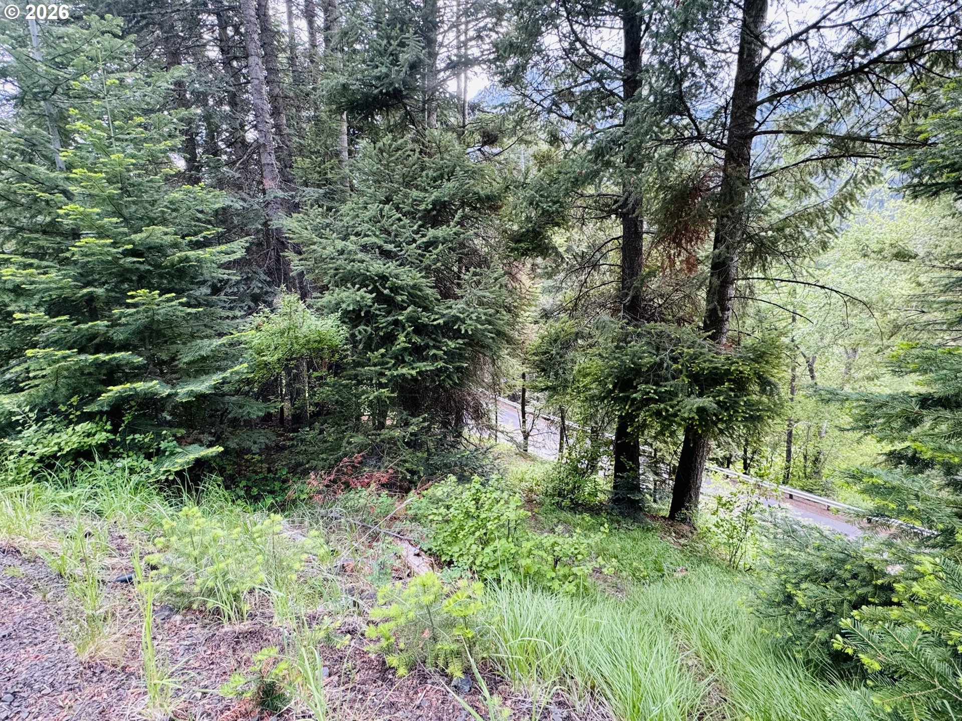 0 Forest Dell Road Joseph, OR 97846 - Photo 8 of 18