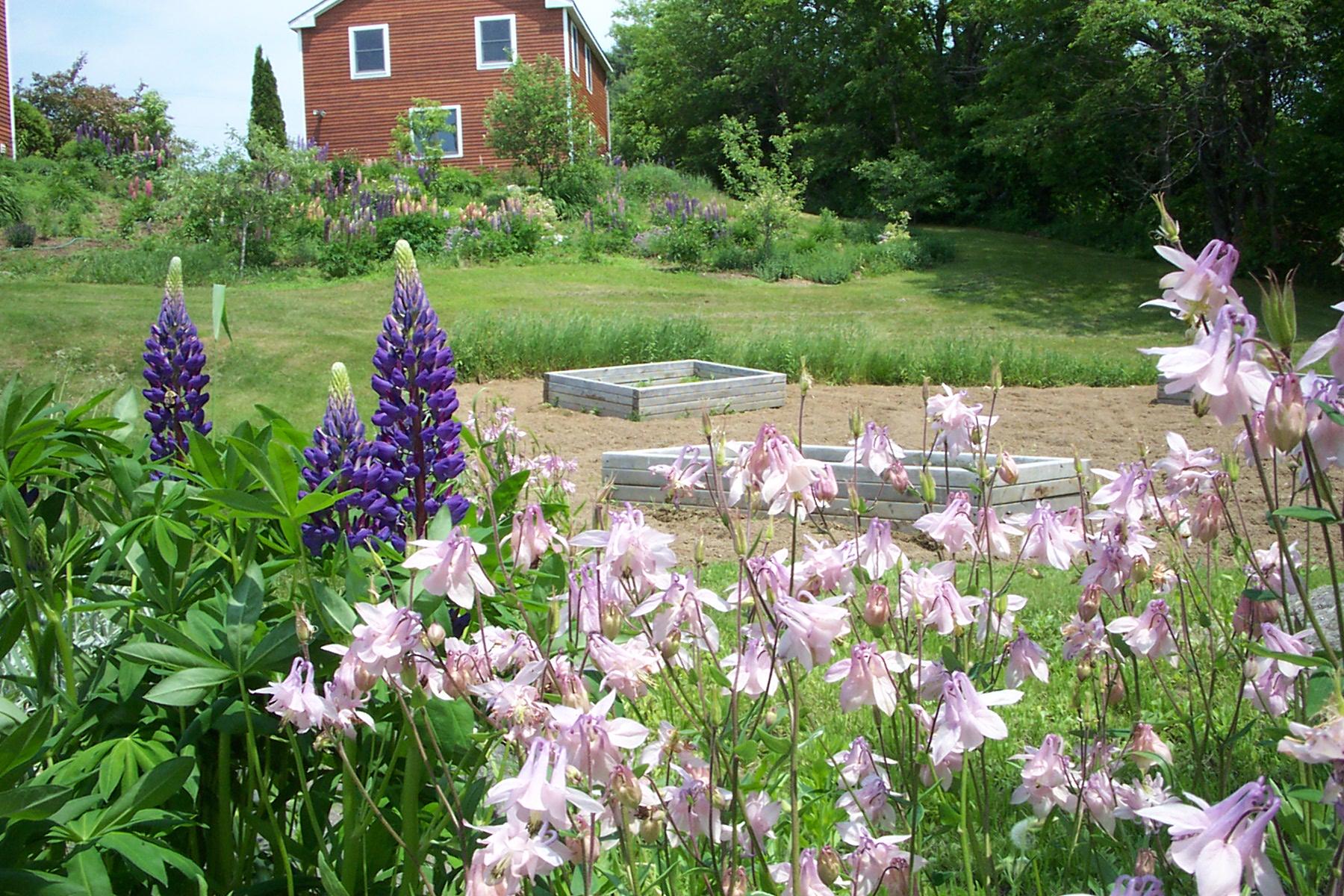 2420 Burkettville Road Appleton, ME 04862 - Photo 28 of 34 veggie garden (1)